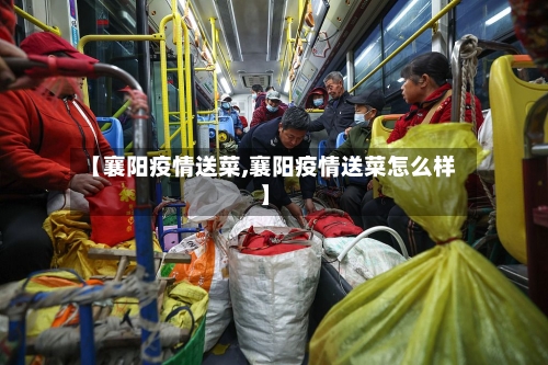 【襄阳疫情送菜,襄阳疫情送菜怎么样】-第1张图片