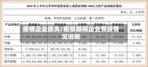 疫情企业损失/疫情期间企业受损情况说明-第2张图片