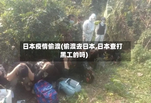 日本疫情偷渡(偷渡去日本,日本查打黑工的吗)-第1张图片
