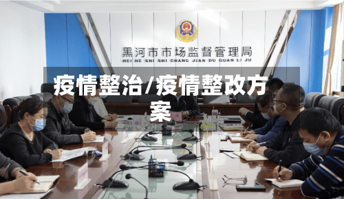 疫情整治/疫情整改方案-第1张图片