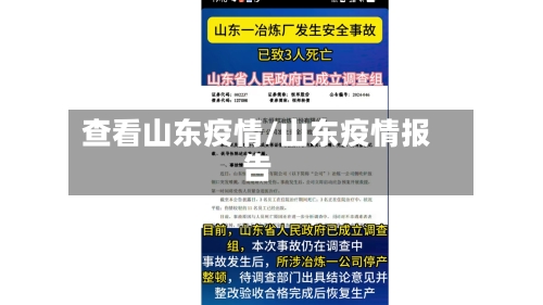 查看山东疫情/山东疫情报告-第2张图片