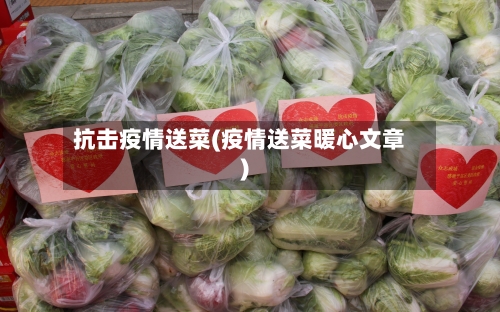 抗击疫情送菜(疫情送菜暖心文章)-第1张图片