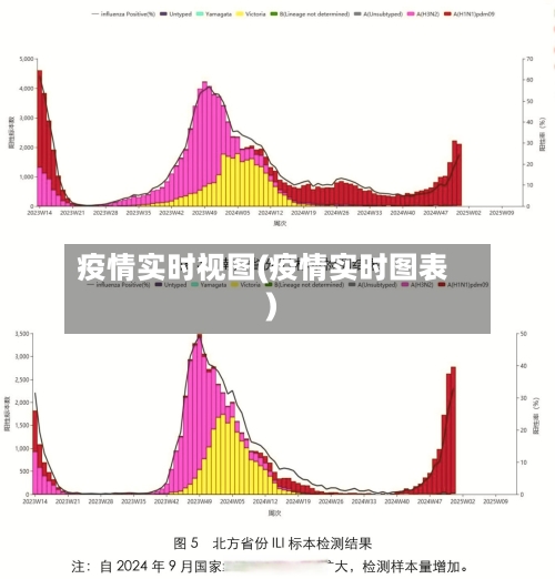 疫情实时视图(疫情实时图表)-第2张图片