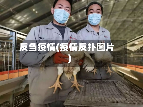 反刍疫情(疫情反扑图片)-第3张图片