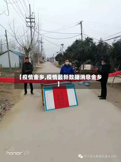 【疫情金乡,疫情最新数据消息金乡】-第1张图片