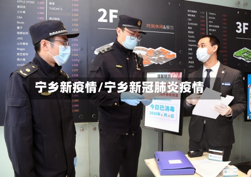 宁乡新疫情/宁乡新冠肺炎疫情-第3张图片