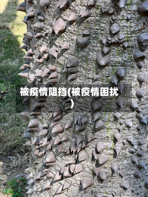 被疫情阻挡(被疫情困扰)-第3张图片