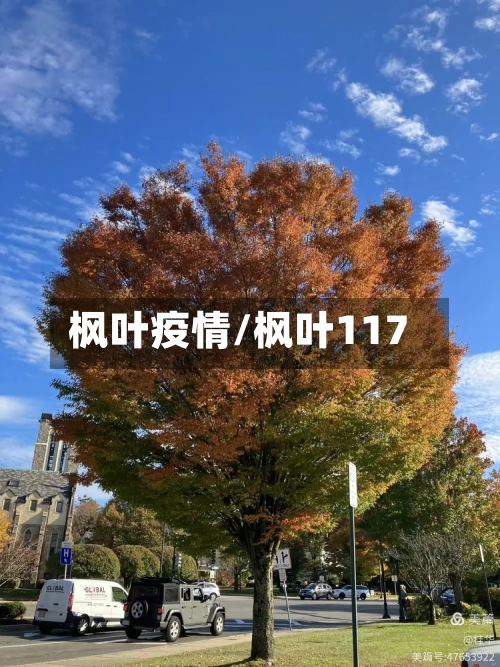 枫叶疫情/枫叶117-第1张图片
