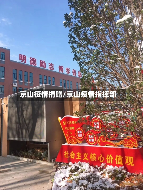 京山疫情捐赠/京山疫情指挥部-第1张图片