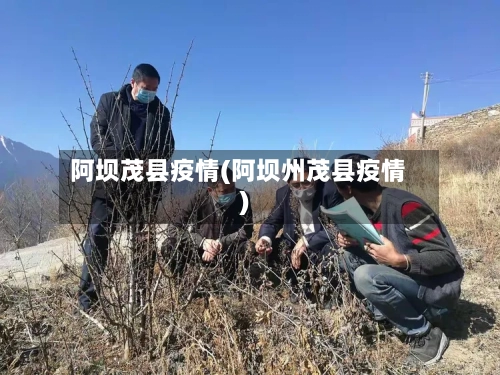 阿坝茂县疫情(阿坝州茂县疫情)-第2张图片