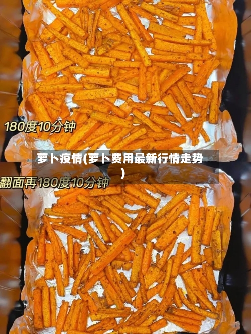 萝卜疫情(萝卜费用最新行情走势)-第1张图片