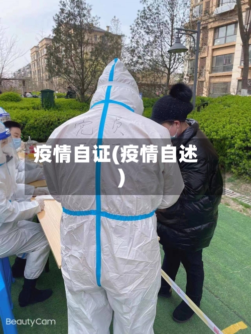 疫情自证(疫情自述)-第1张图片