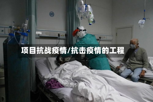 项目抗战疫情/抗击疫情的工程-第3张图片