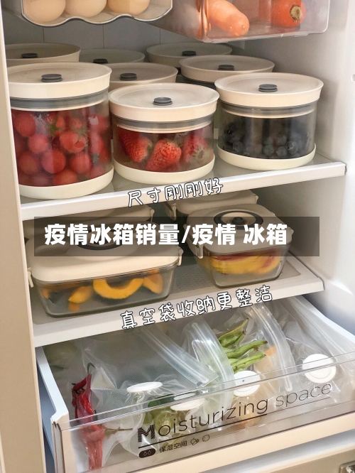 疫情冰箱销量/疫情 冰箱-第2张图片