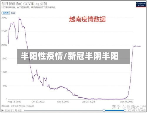 半阳性疫情/新冠半阴半阳-第2张图片
