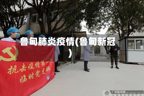 鲁甸肺炎疫情(鲁甸新冠)-第3张图片