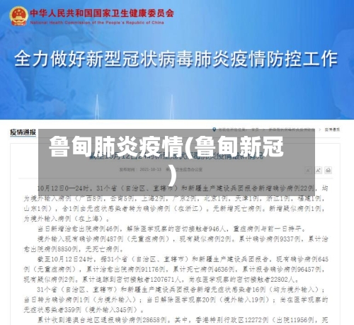 鲁甸肺炎疫情(鲁甸新冠)-第2张图片