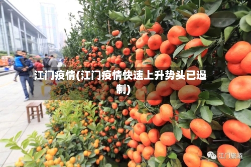 江门疫情(江门疫情快速上升势头已遏制)-第1张图片