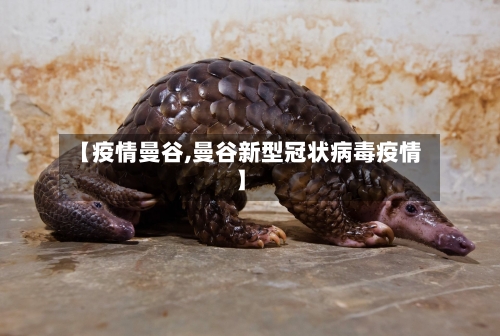 【疫情曼谷,曼谷新型冠状病毒疫情】-第1张图片