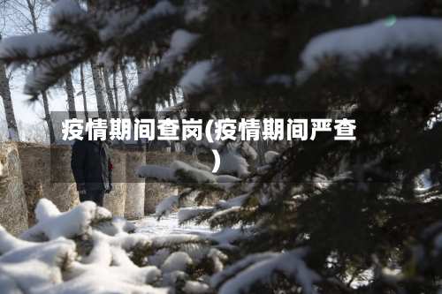疫情期间查岗(疫情期间严查)-第1张图片
