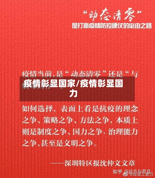 疫情彰显国家/疫情彰显国力-第2张图片