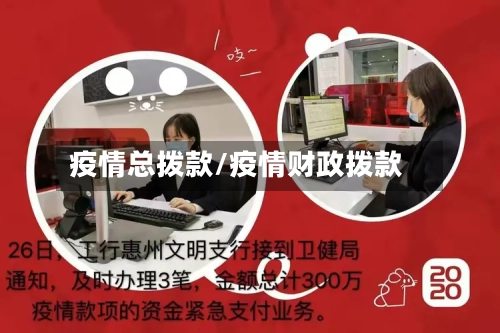 疫情总拨款/疫情财政拨款-第2张图片