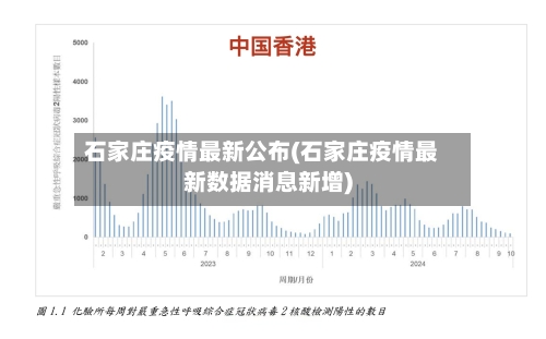 石家庄疫情最新公布(石家庄疫情最新数据消息新增)-第1张图片