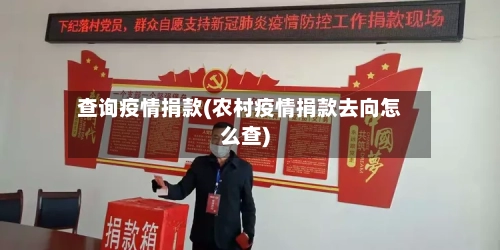 查询疫情捐款(农村疫情捐款去向怎么查)-第2张图片