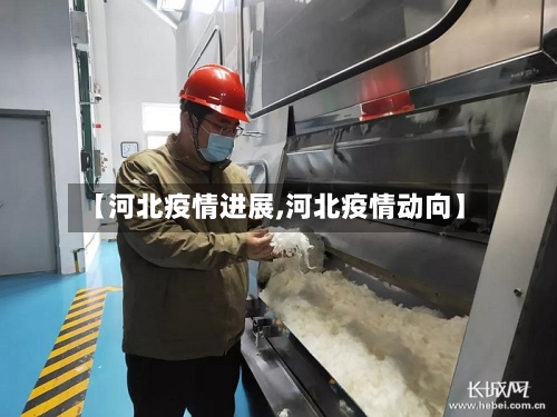【河北疫情进展,河北疫情动向】-第2张图片