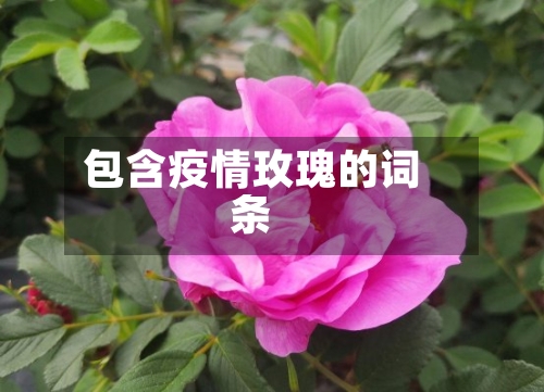 包含疫情玫瑰的词条-第2张图片