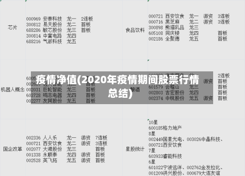 疫情净值(2020年疫情期间股票行情总结)-第2张图片
