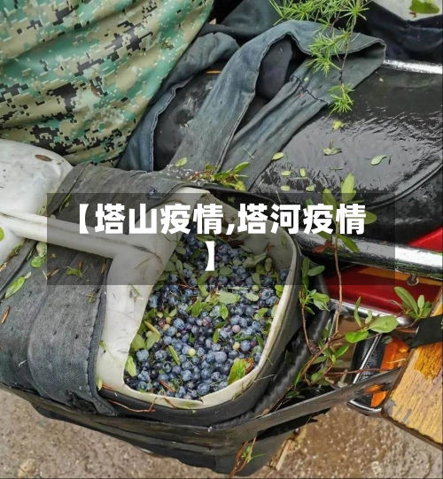 【塔山疫情,塔河疫情】-第2张图片