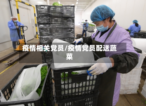 疫情相关党员/疫情党员配送蔬菜-第1张图片