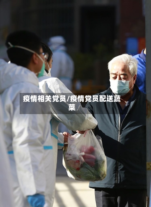 疫情相关党员/疫情党员配送蔬菜-第2张图片