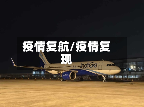 疫情复航/疫情复现-第2张图片