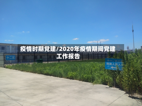 疫情时期党建/2020年疫情期间党建工作报告-第3张图片