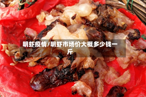 明虾疫情/明虾市场价大概多少钱一斤-第1张图片