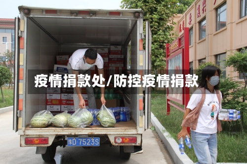 疫情捐款处/防控疫情捐款-第3张图片