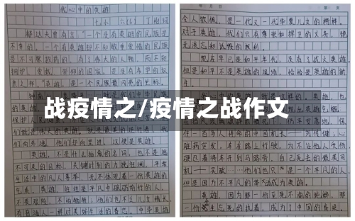 战疫情之/疫情之战作文-第1张图片