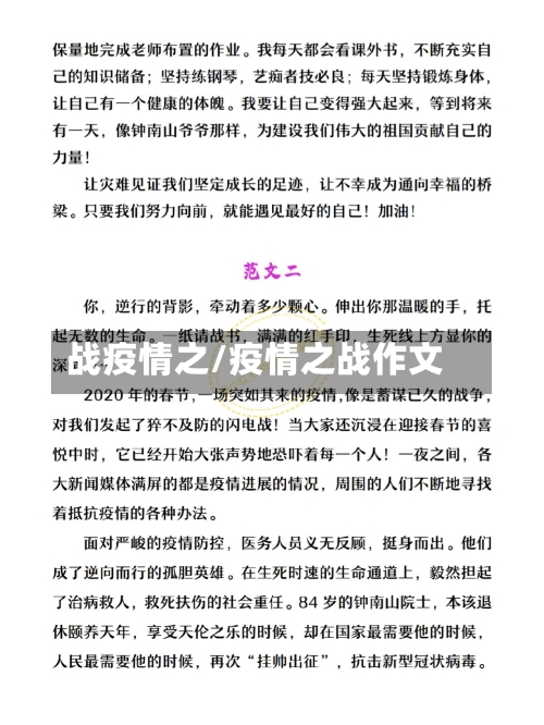 战疫情之/疫情之战作文-第3张图片