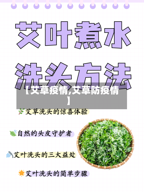 【艾草疫情,艾草防疫情】-第1张图片