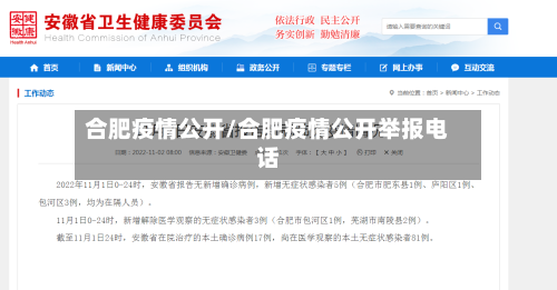 合肥疫情公开/合肥疫情公开举报电话-第2张图片