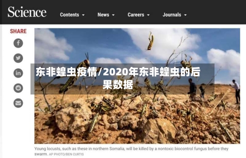 东非蝗虫疫情/2020年东非蝗虫的后果数据-第1张图片