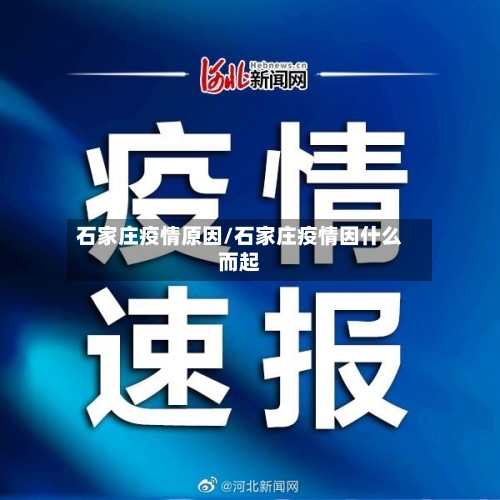 石家庄疫情原因/石家庄疫情因什么而起-第3张图片