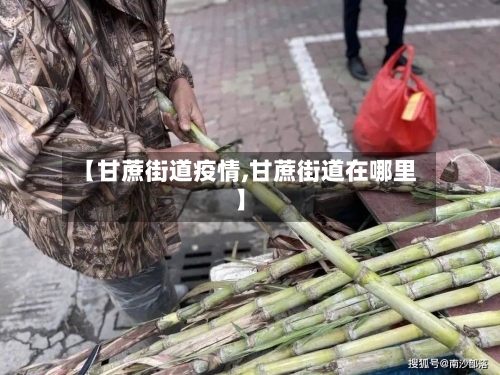 【甘蔗街道疫情,甘蔗街道在哪里】-第1张图片