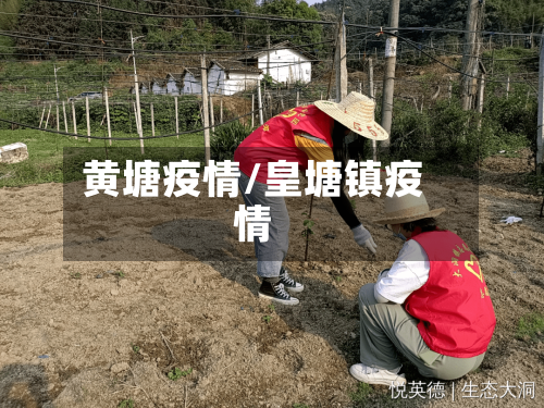 黄塘疫情/皇塘镇疫情-第3张图片