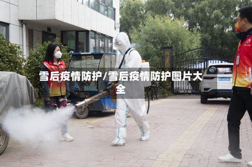 雪后疫情防护/雪后疫情防护图片大全-第2张图片