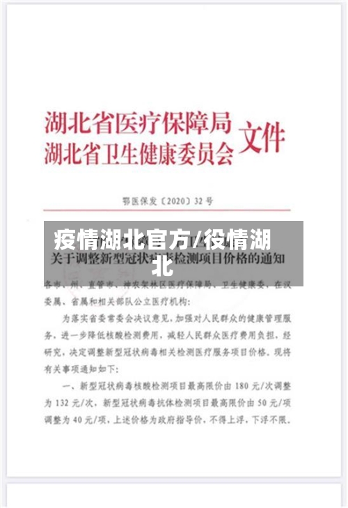 疫情湖北官方/役情湖北-第1张图片