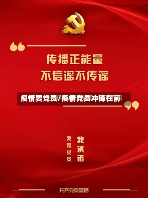 疫情要党员/疫情党员冲锋在前-第2张图片